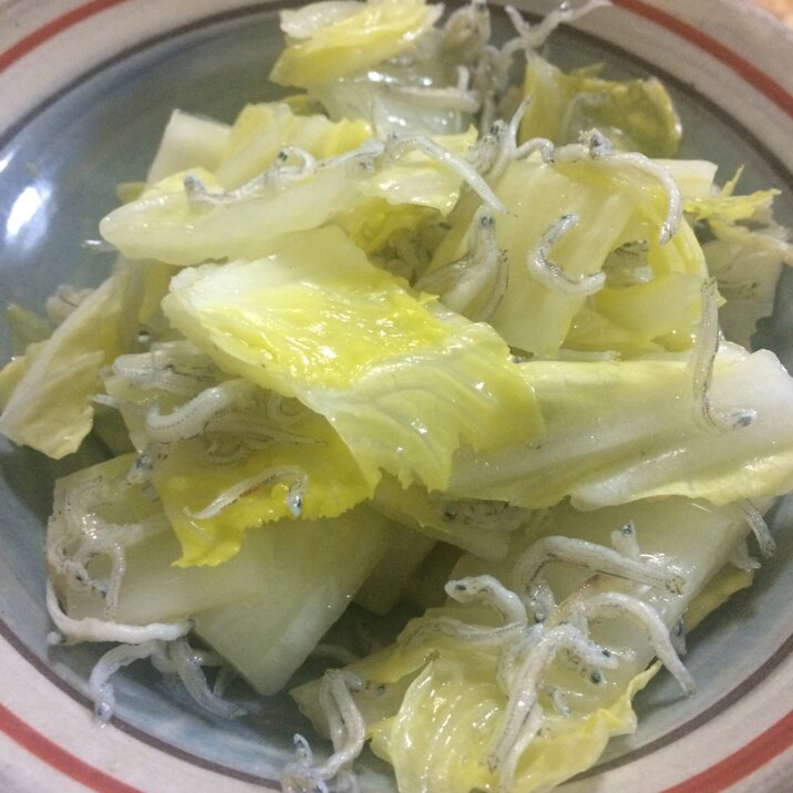 ちょっとイタリアンな白菜おひたし